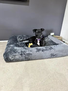 Dog resting on orthopedic memory foam bed featuring cozy pullover blanket cover and toy