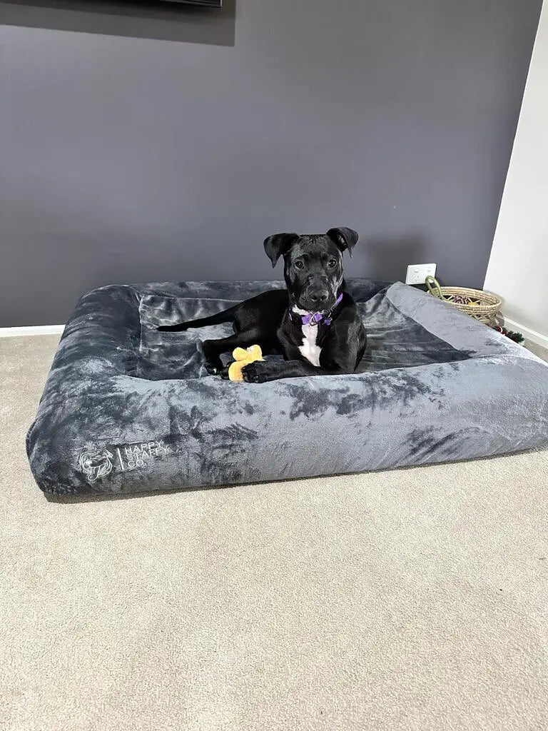 Dog resting on orthopedic memory foam bed featuring cozy pullover blanket cover and toy