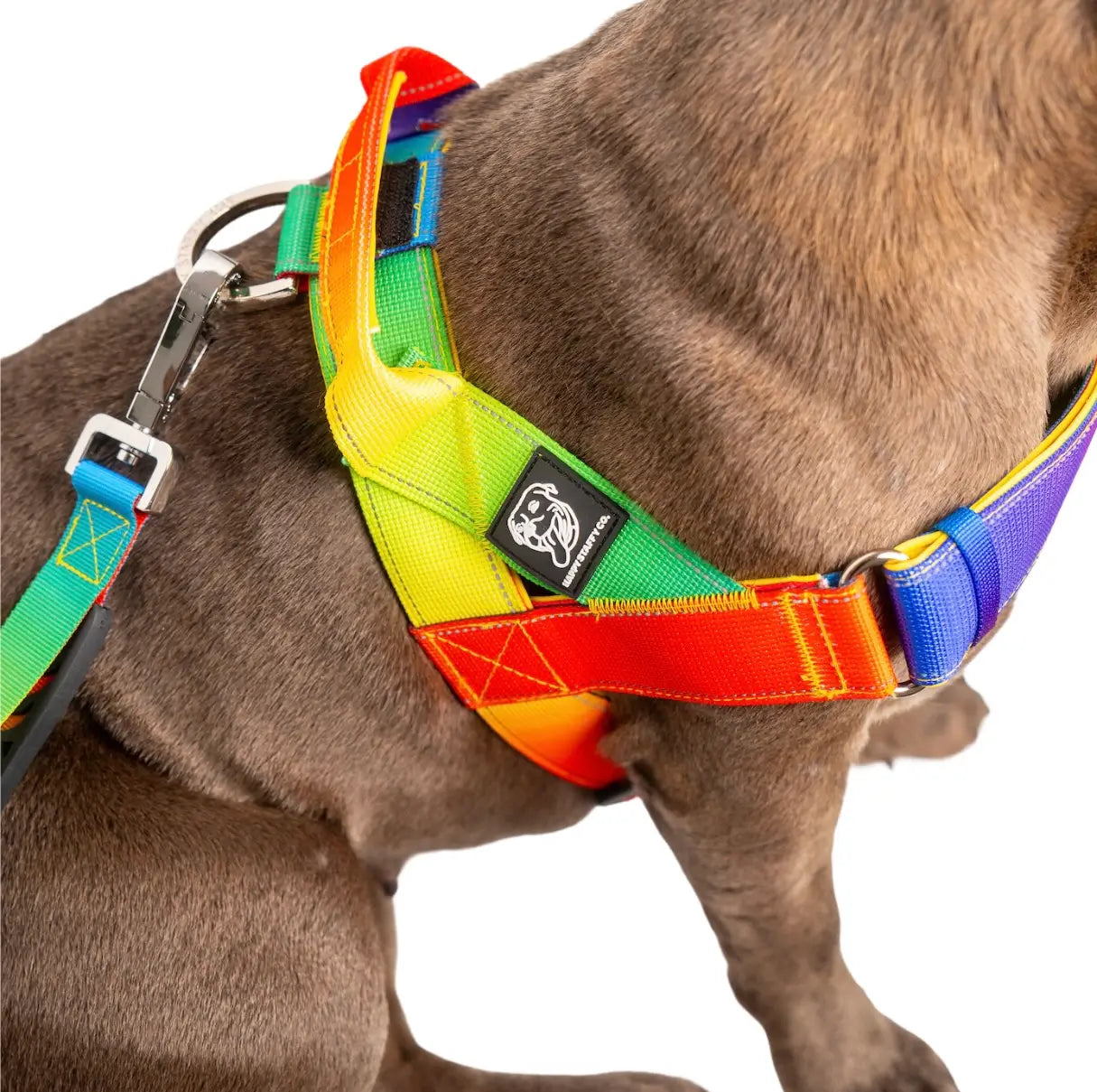 Staffy Harness