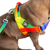 Staffy Harness