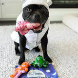 Chewzilla® Galactic Quest Collection