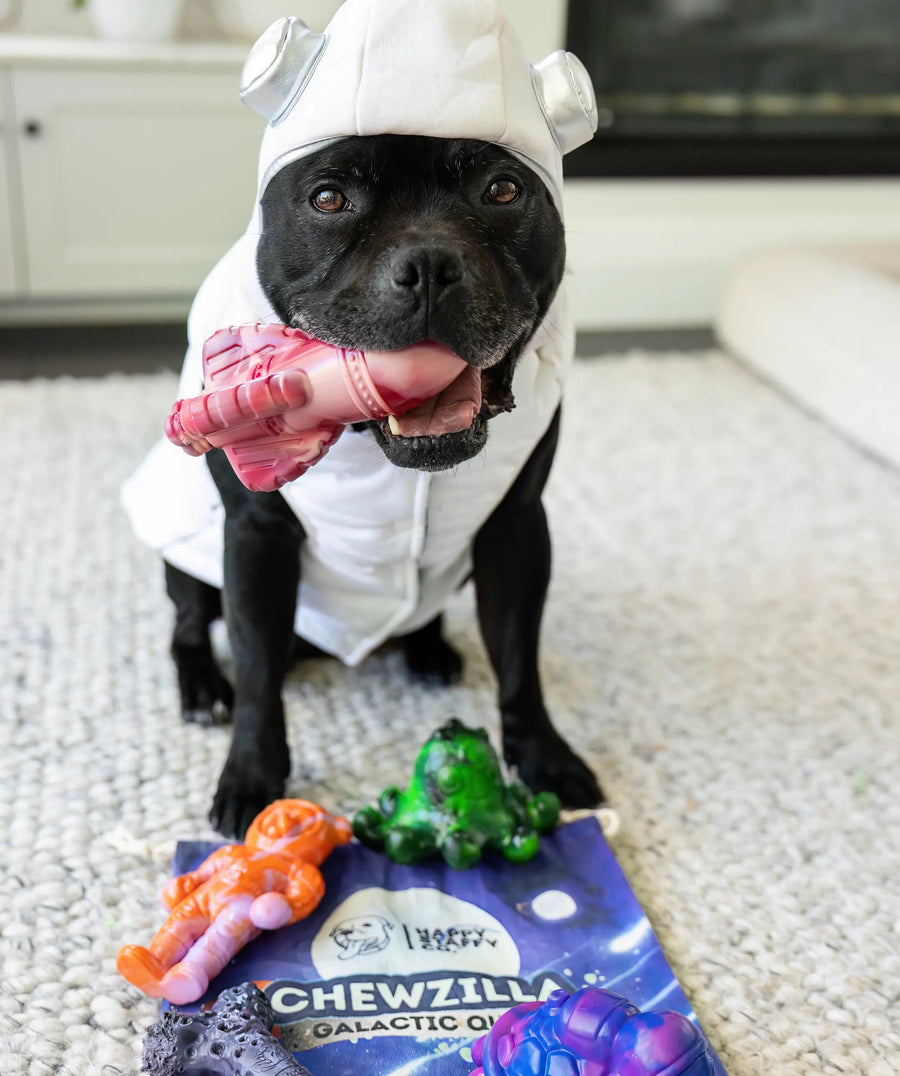 Dog wearing costume and holding Chewzilla nylon rocket dog toy with other toys laid out on a mat.