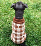 Cotton Dog Jumper