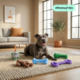 Best Selling Toys Bundle