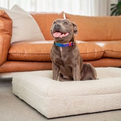 Orthopedic Memory Foam Bed + Bouclé Cover