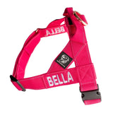 Staffy Harness
