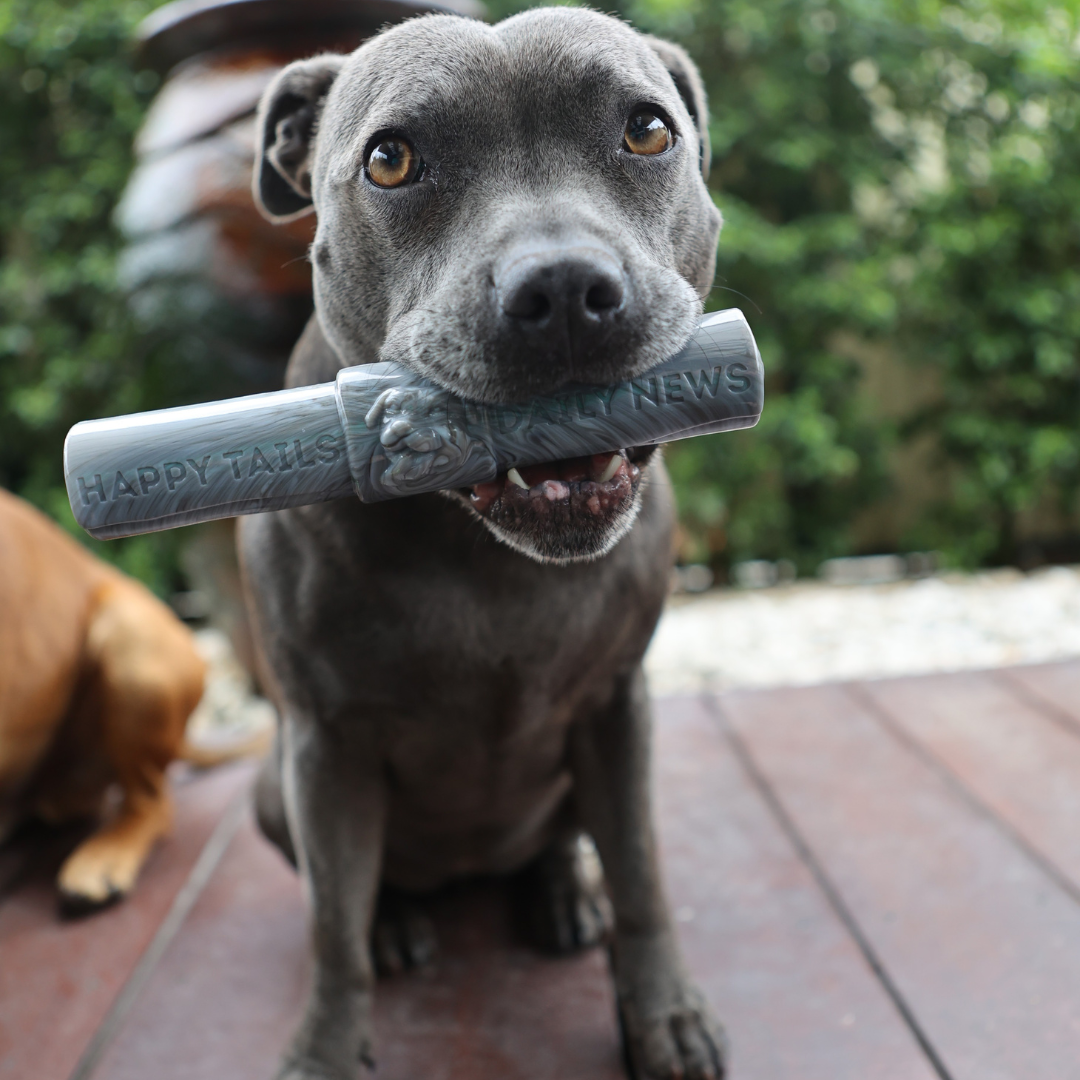 Treat & Toy Combo (Chewzilla® Certified)