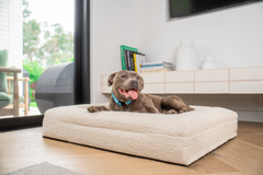 Orthopedic Memory Foam Bed + Bouclé Cover