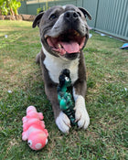 Dog lying outdoors holding the Chewzilla Sea Chomper toy with a second toy beside.
