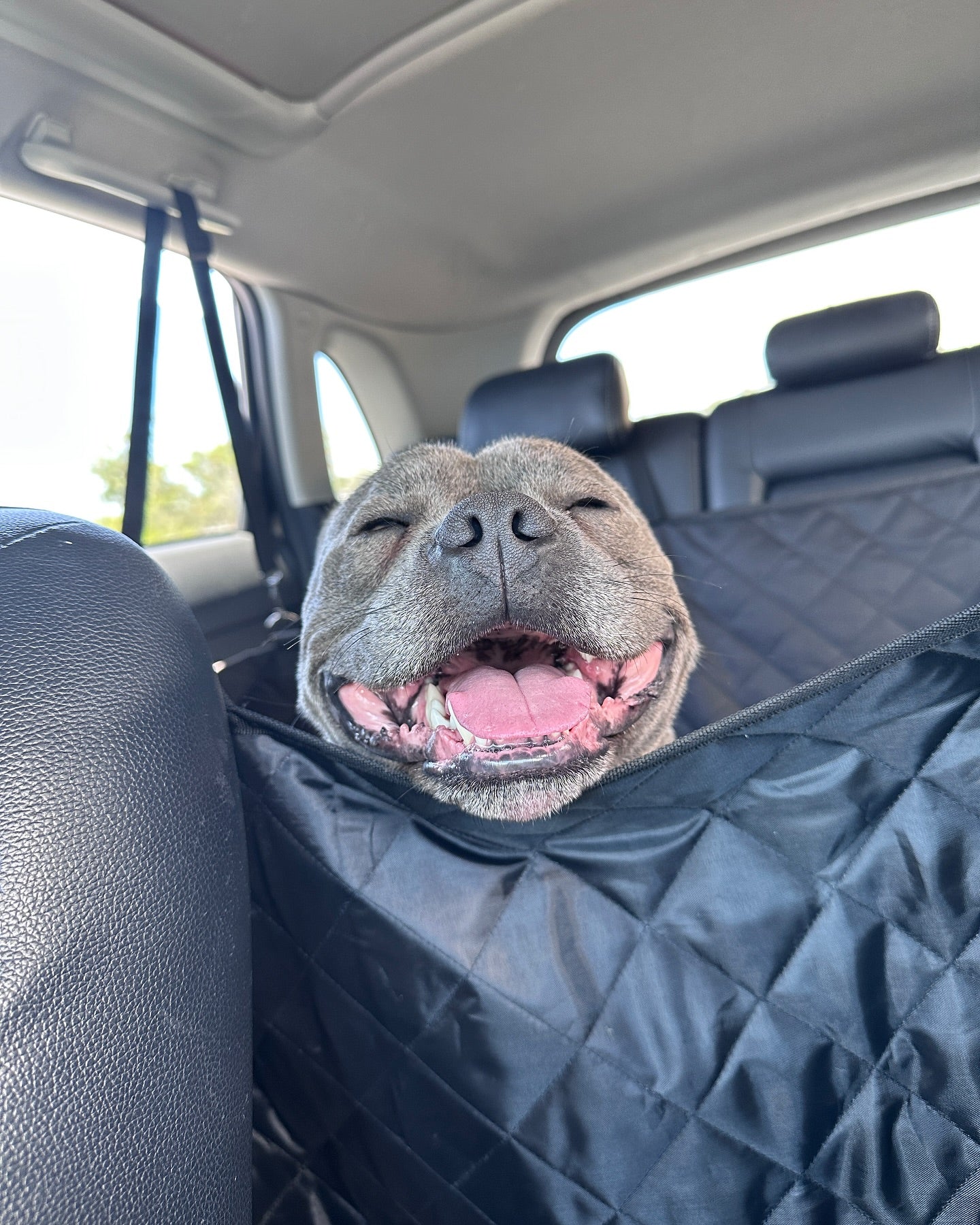 Premium Car Seat Protector