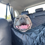Premium Car Seat Protector