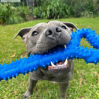 Dog biting The Tommy Tug Handle dog toy in blue during outdoor play.