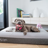 Ultimate Black Friday Baller Pup Bundle