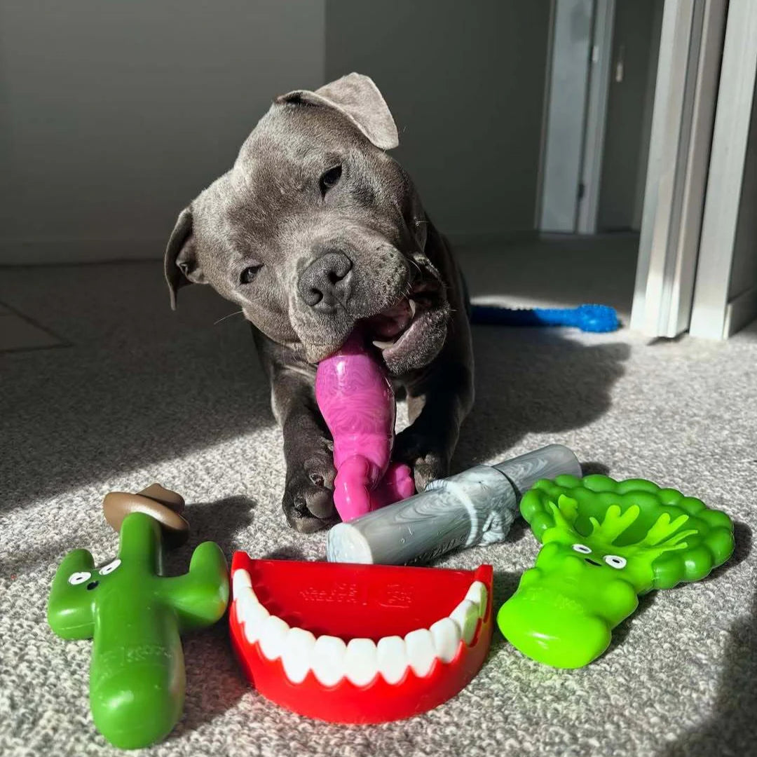 Chatter Chompers