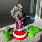 Dog playing surrounded by dog toys while holding Chatter Chompers dog toy.