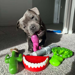 Chatter Chompers