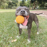 Happy Staffy Duraball