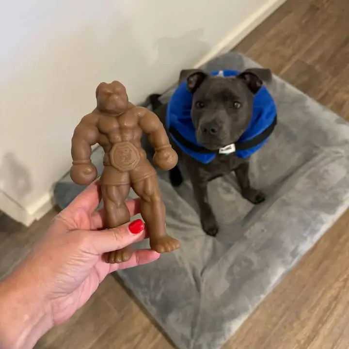 Staffy Balboa photo 9