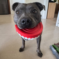 Chatter Chompers