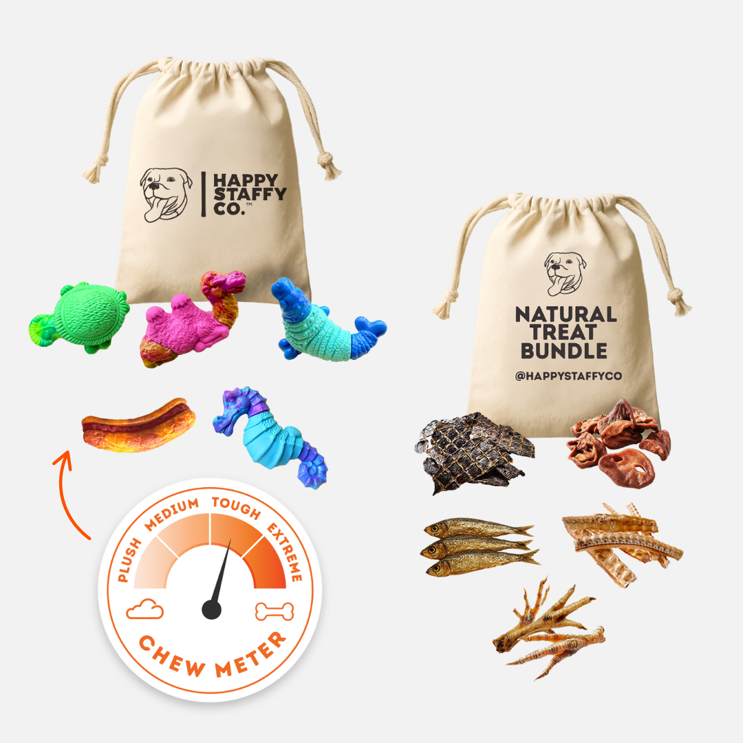 Treat & Toy Combo (Power Chewers Collection)