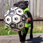 Dog running toward its owner with the Ronaldog Soccer Ball dog toy in its mouth.