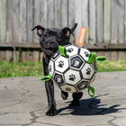 Dog running with the Ronaldog Soccer Ball dog toy in its mouth.