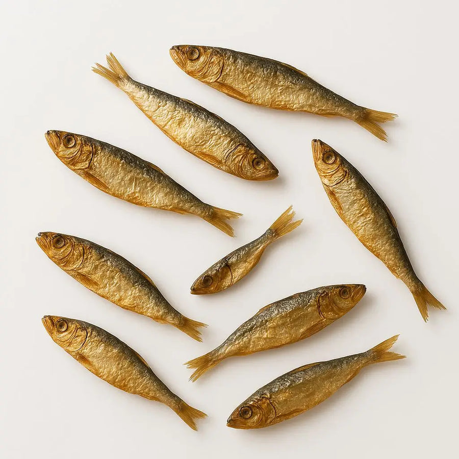 Wild Caught Sardines