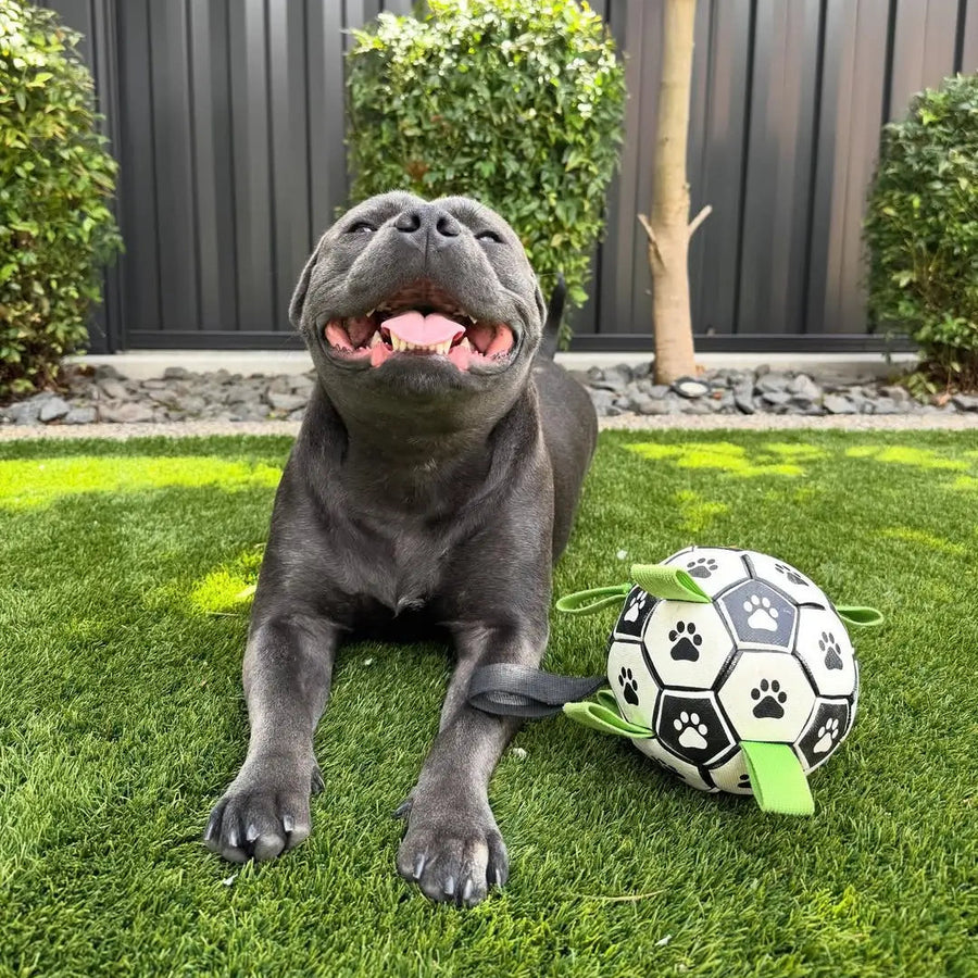 Dog smiling while laying on the grass with the Ronaldog Soccer Ball dog toy on its side.
