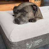 Deluxe Orthopedic Memory Foam Bed