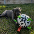 Dog laying on grass with the Ronaldog Soccer Ball dog toy beside its face.