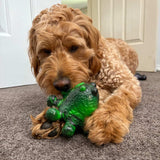 Chewzilla® Galactic Quest Collection