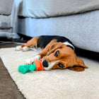 Dog laying on the floor playing with a Chomp Carrot dog toy.
