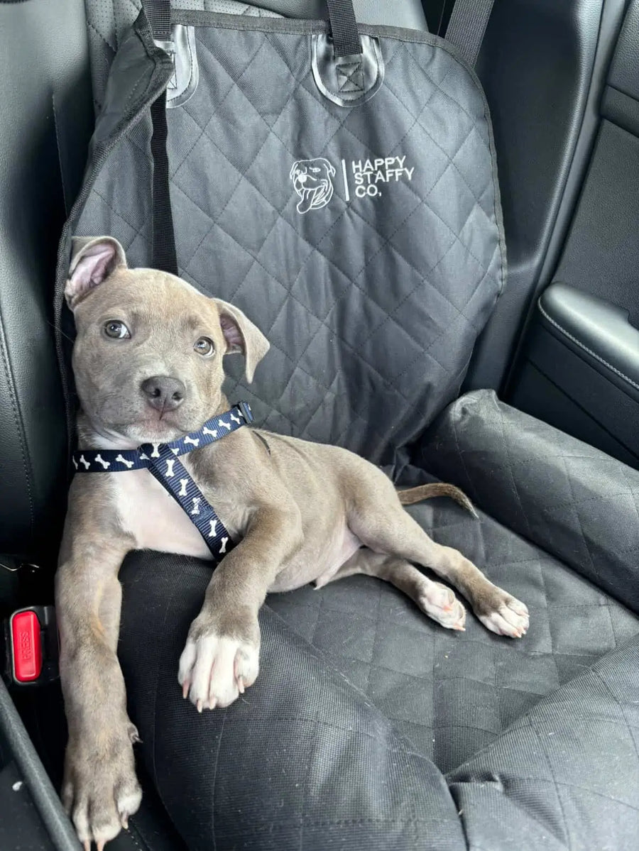 Single Car Seat Protector