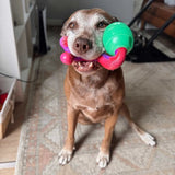 Chewzilla® Treat Dispenser