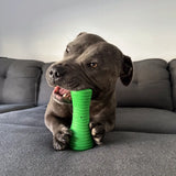 Crocodile Dental Chew