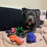 Chewzilla® Galactic Quest Collection