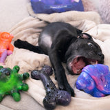 Chewzilla® Galactic Quest Collection