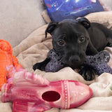 Chewzilla® Galactic Quest Collection