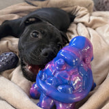 Chewzilla® Galactic Quest Collection