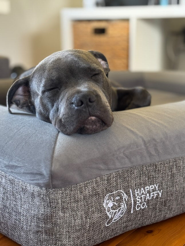 Deluxe Orthopedic Memory Foam Bed