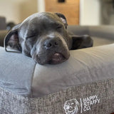 Deluxe Orthopedic Memory Foam Bed