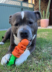Chomp Carrot