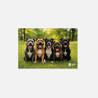 The Rescue Pack Puzzle