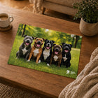 The Rescue Pack Puzzle