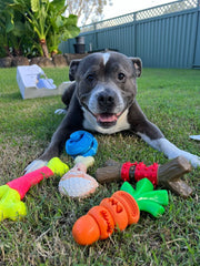 Power Chewers Collection