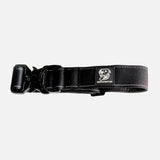Durable Staffy Collar