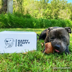 Treat & Toy Combo (Chewzilla® Certified)