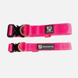 Durable Staffy Collar