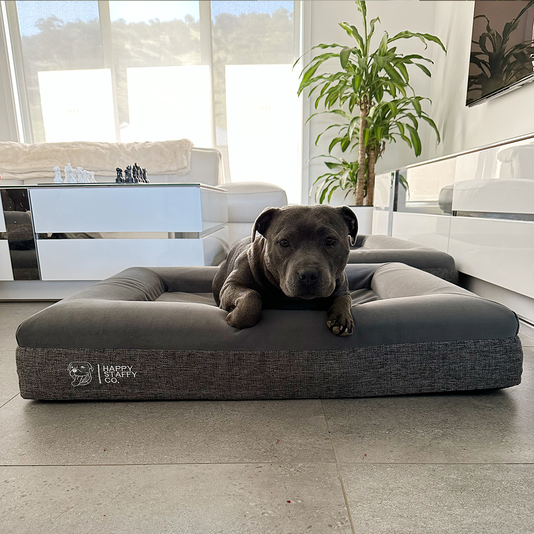 Orthopedic Memory Foam Bed + Durable Bed Cover Combo