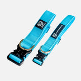 Durable Staffy Collar
